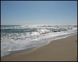 ocean